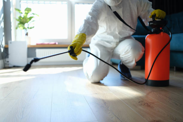 Reliable Sewage Cleanup contractor in North Canton, OH by Trauma Clean Pros